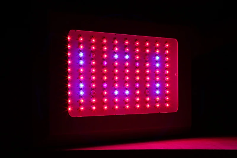 100-3-6