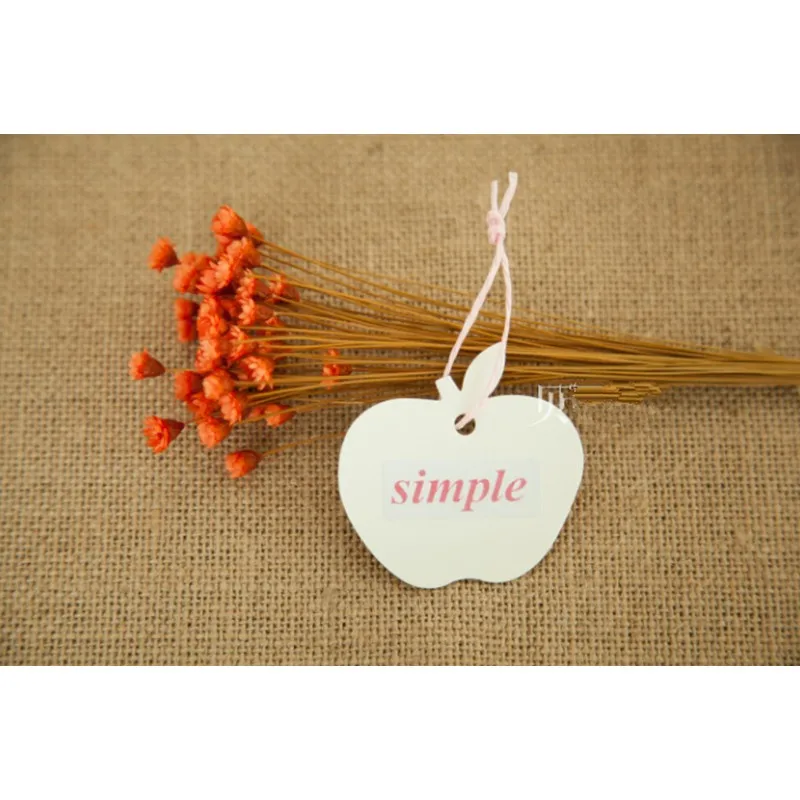 TB2DJuNlFXXXXa9XXXXXXXXXXXX_!!258190089_