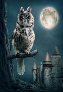

Laeacco Moon Night Castle Owl On Branch Photography Backdrops Vinyl Photo Backdrop Custom Camera Backgrounds For Photo Studio