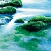Oirase ravine Aomori Towadako-cho Japan Poster Print (36 x 12)