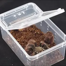 40# Transparent Plastic Food Storage Amphibian Insect Reptile Breeding Feeding Box Transport Feeding Case Pet Products