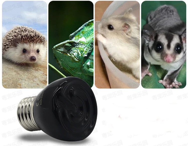 HTB1YVSvSXXXXXa7XFXXq6xXFXXXU.jpg?width=750&height=582&size=234317&hash=235649