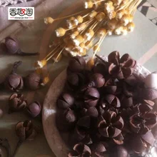 10 шт. сухое крестообразное растение, фруктовый цветок для украшения дома, праздничные коробки для конфет, сумка, украшение для дома, аксессуары для рукоделия