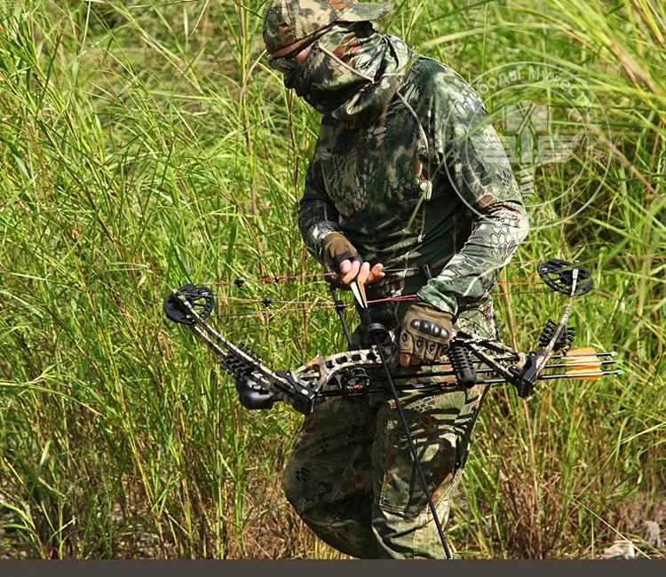 DT-1