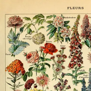 

Vintage Poster Print Floral Flowers Botanical Cloth Painting Home Art Decor