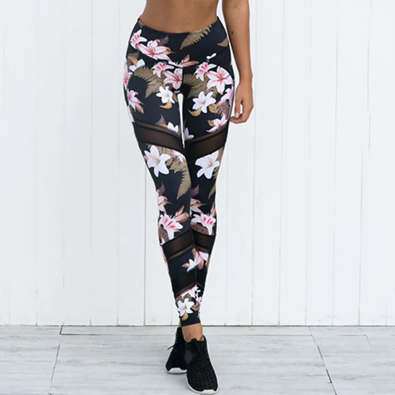 9052535231_488786362