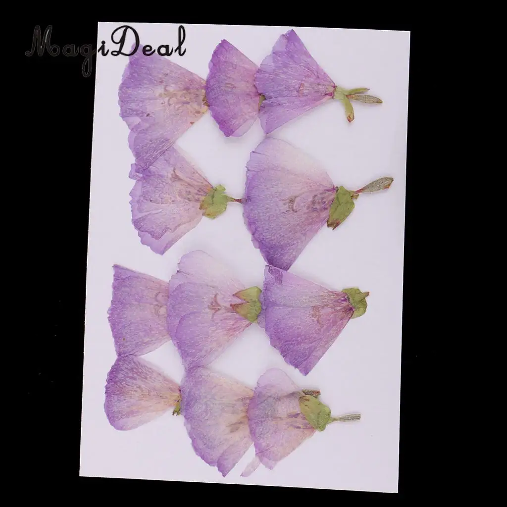 12pcs Beautiful Godetia Real Pressed Natural Dried Flowers for Art Craft Scrapbooking Card Making Resin Jewelry Making Craft DIY