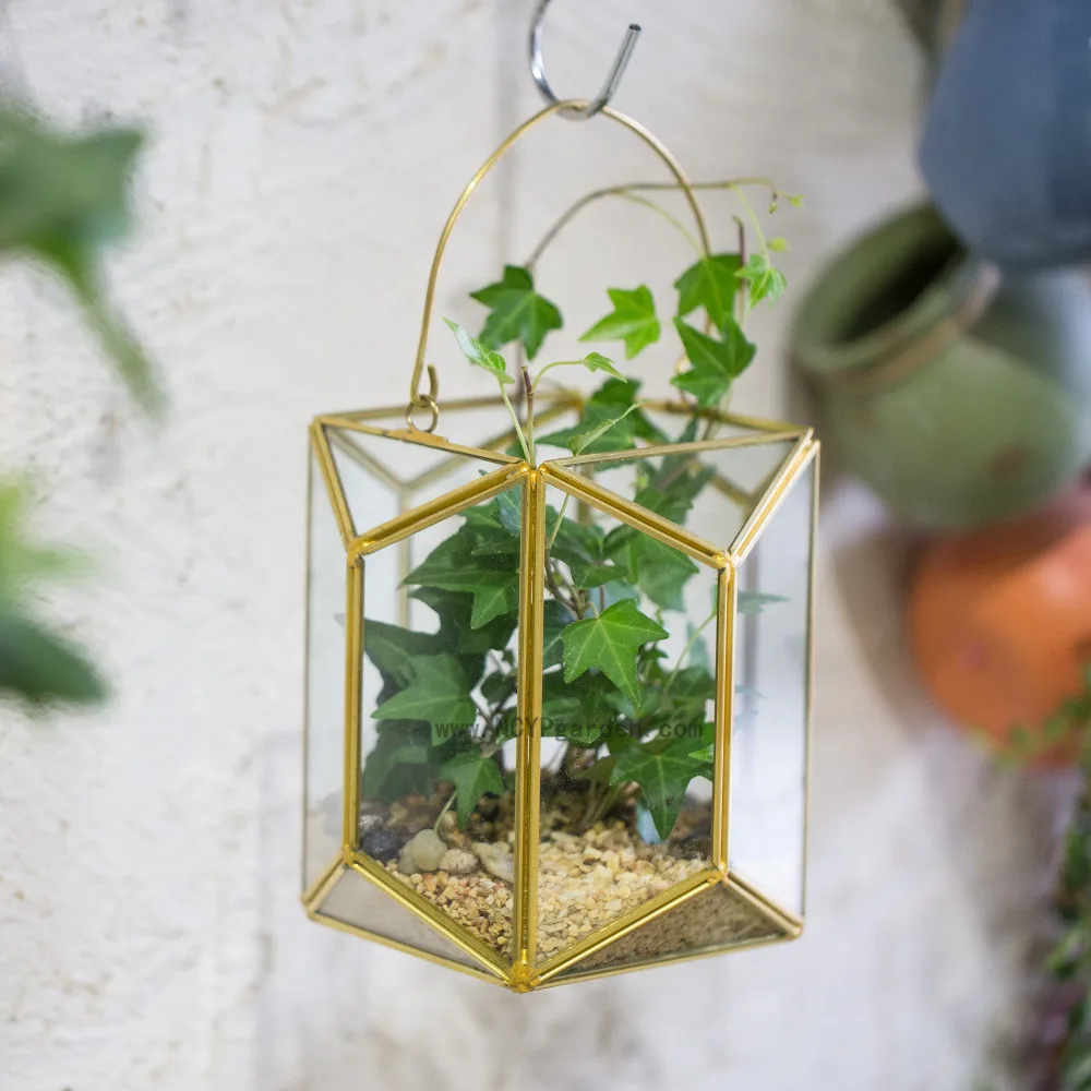 Modern Wall Hangiing Geometric Glass Terrarium Lantern Tabletop