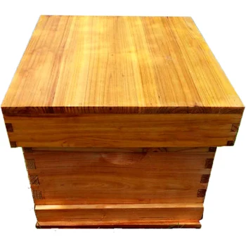 

Soaked Wax Bee In Bee Hives Express Full Set Of Fir Beekeeping Tools Intended Bee Secret Special Flat Box