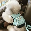 Dogs Collar And Harnesses