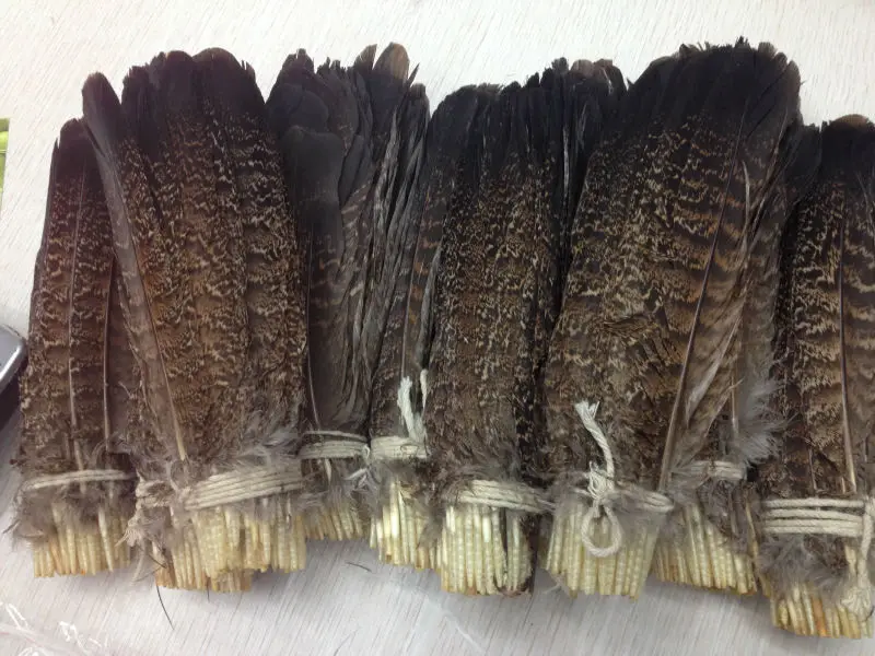 Miễn phí vận chuyển bán buôn chất lượng cao 10 Pcs Scare bàng tự nhiên Feather 20 25 cm/8 10 polegada trang trí DIY thu thập|natural eagle feathers|eagle feathersdecorative feathers - AliExpress