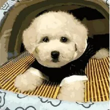 Прекрасный белый Бог в питомнике напечатаны DIY цифровая картина маслом по номерам модная ручная живопись без рамки 40x50 см