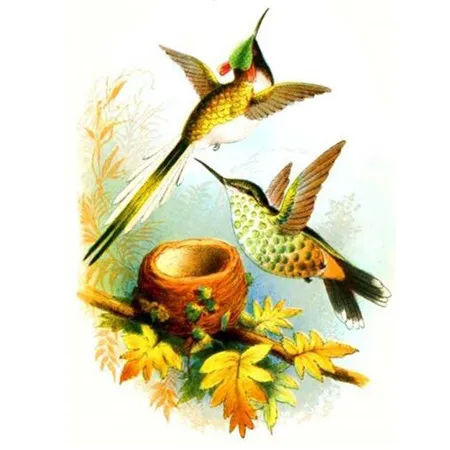YUMEART Алмазная вышивка полная птица и цветок картина Стразы Алмазная картина Колибри вышивка крестиком Искусство Декор стены - Цвет: 5902055
