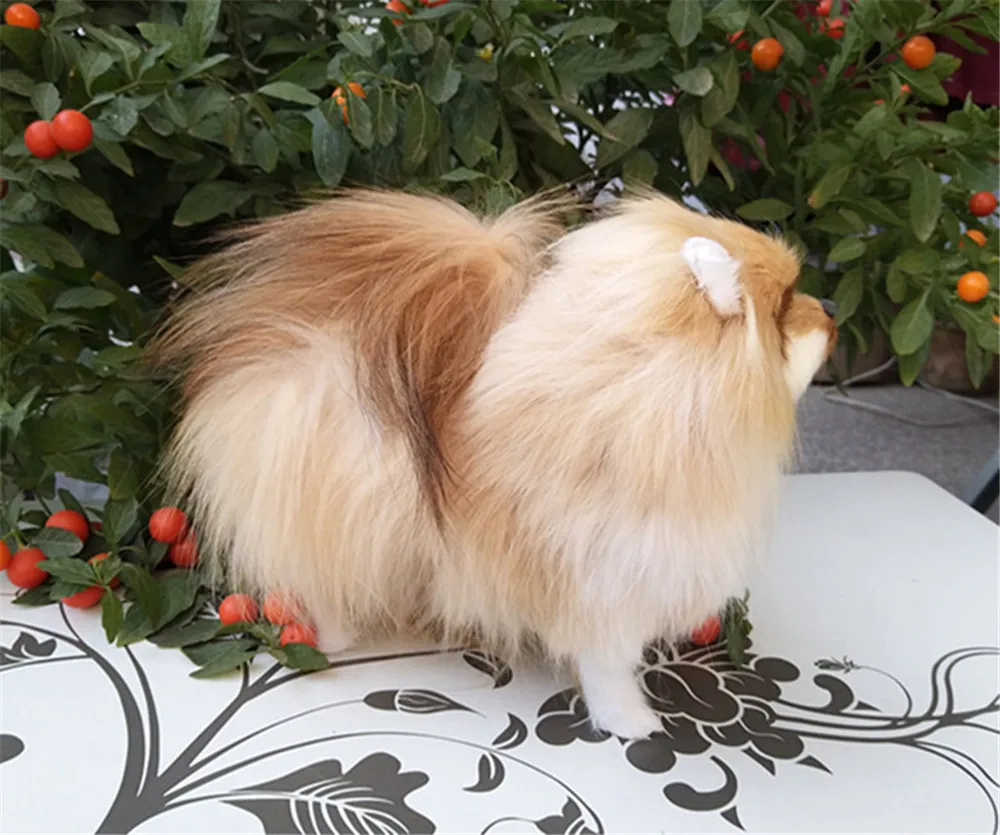 handmade simulation Pomeranian dog toy made of plastic and fur3