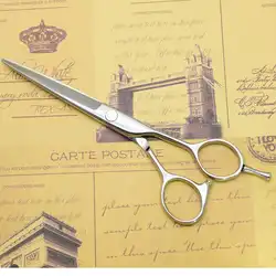 Ножницы для стрижки волос 6 "Professonal hair styling Japanese 440C salon scissors