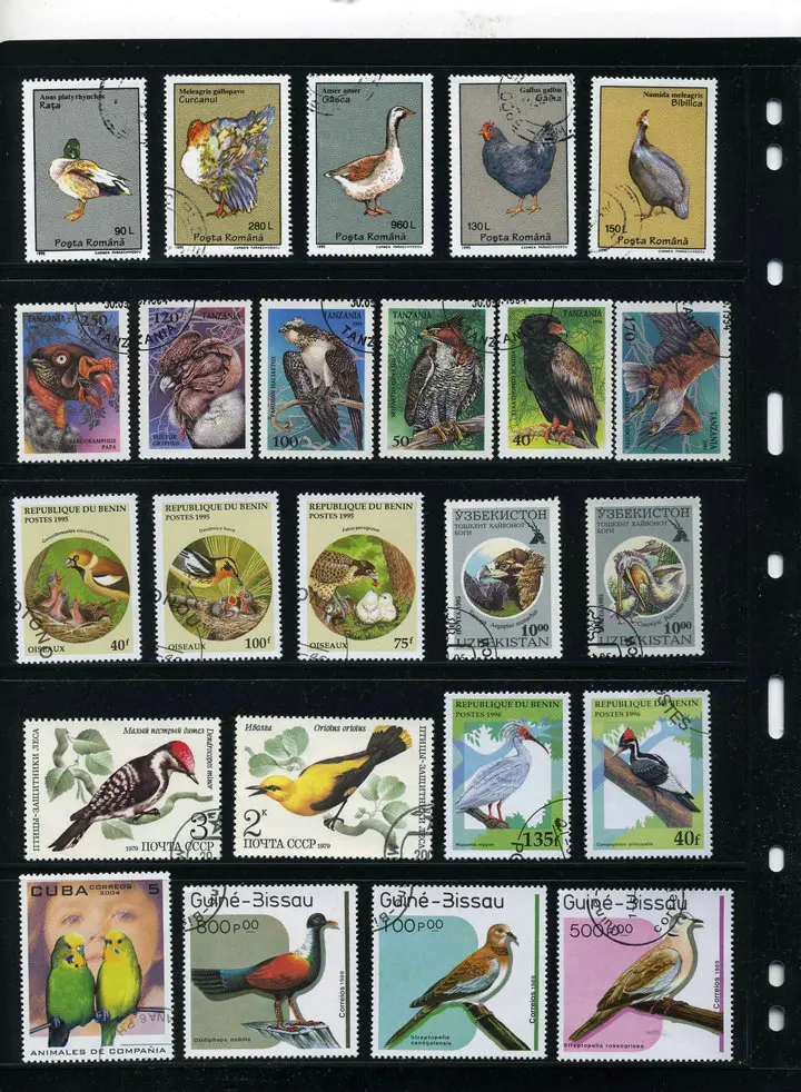 Новинка, 50 шт./лот, птица, попугай, Орел, все разные из многих стран, без повторения, неиспользованные почтовые марки для сбора