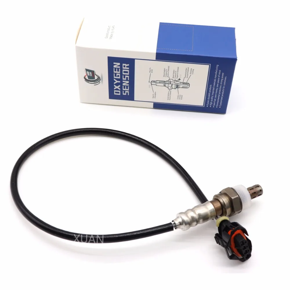 55566650(2)