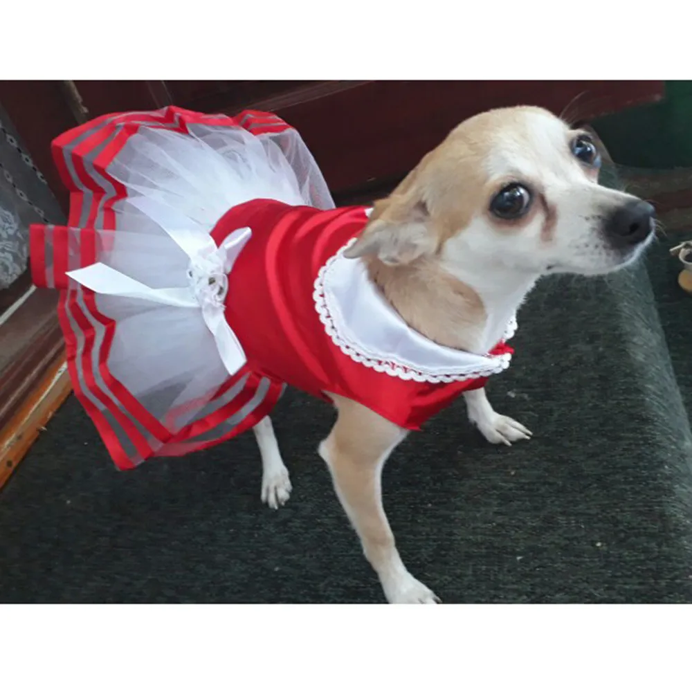 

Pet Dogs Cat Tutu Princess Dress Stripe Bow Lace Clothes Pet Apparel Para Dress Small Dog Clothes Chihuahua Apparel