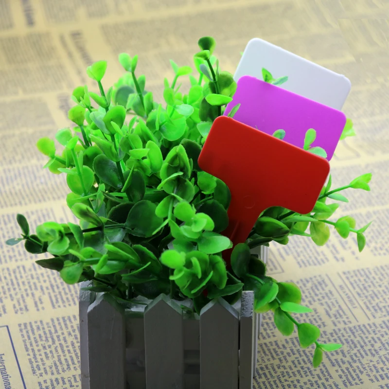 100pcs T-shaped Decorative Plant Labels Plastic T-type Nursery Pots Garden Decoration Seedling Mark Tags