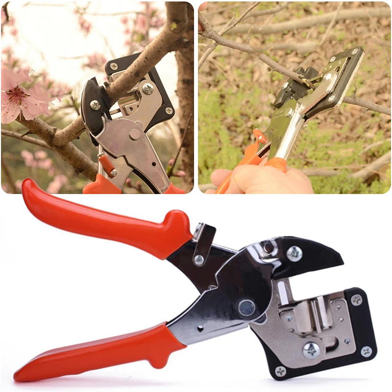 DWZ Fruit Tree Pro Carbon Steel Pruning Scissor Grafting Cutting Tool Garden