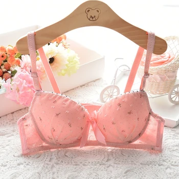 

Sexy Lace Push Up Bra For Women Underwear Gather Women Bra Big Size Cotton Women Brassiere Sexy Backless Push Up Silicone Bras