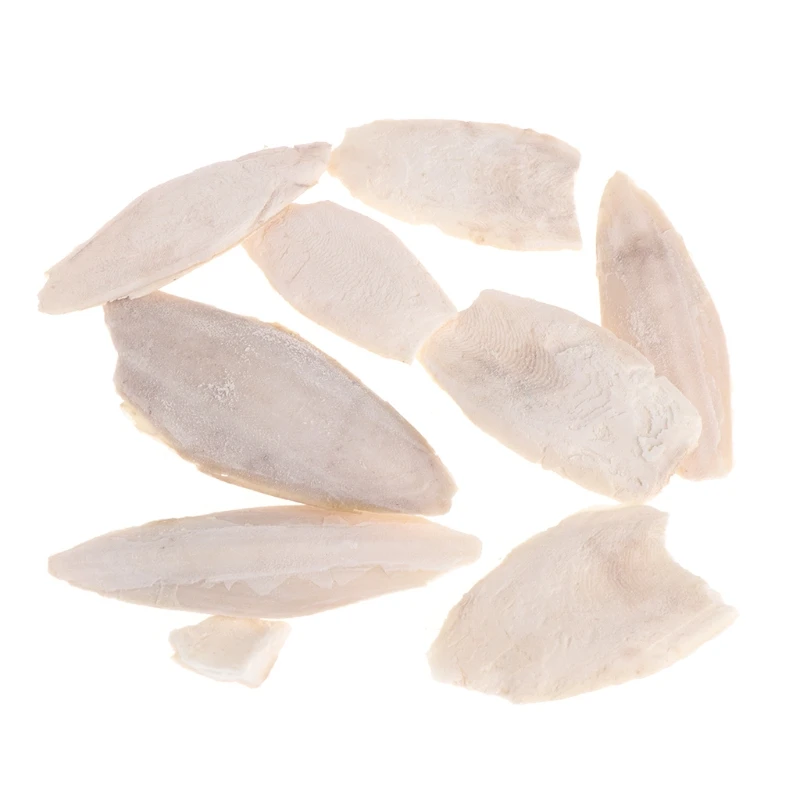 1 пакет Каракатица сепия кость кютла рыба птица еда кальция мариновка ПЭТ - Цвет: Cuttlefish bone