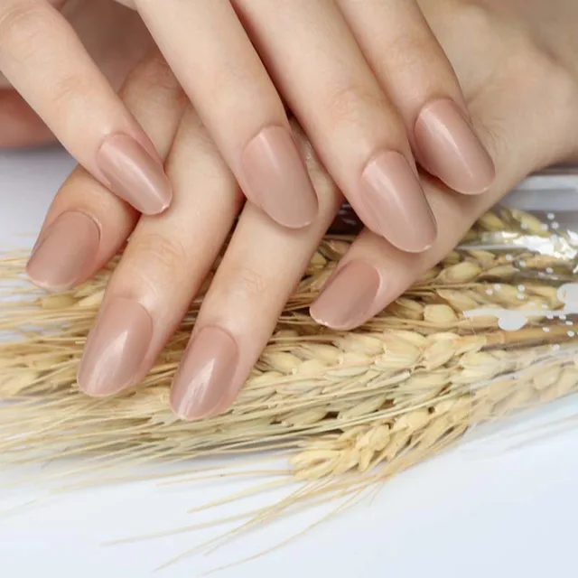 2018 24pcs Hot New Design Beautiful Delicate Oval Candy Cute Fake 2018 24pcs Hot New Design Beautiful Delicate Oval Candy Cute Fake Nails Brown P73 X