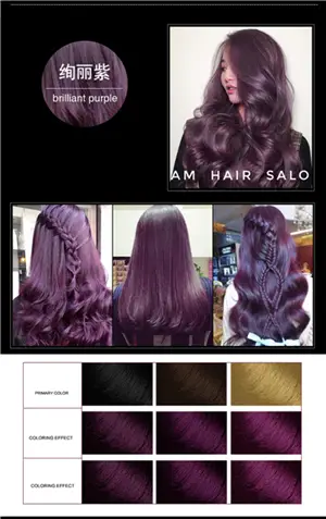 Suimei Professional Use Colour Cream Golden Brown Red Purple Hair