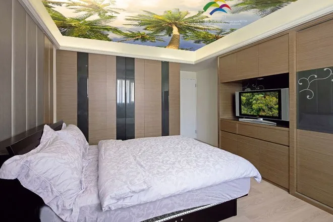 T-1011 tree printing stretch ceiling film