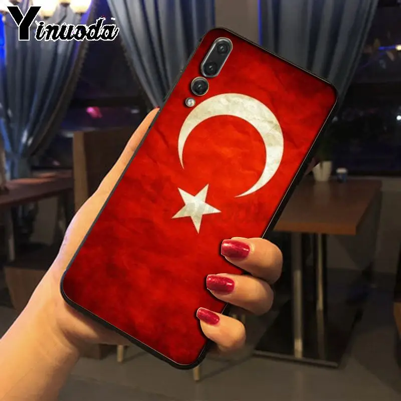 Flag of Istanbul Turkey wolf