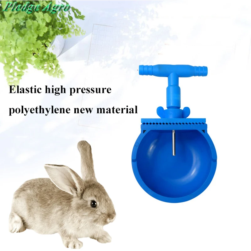 Rabbit swim. Bunny in pool. Rabbit swim. Rabbit swim. Hare clipart.