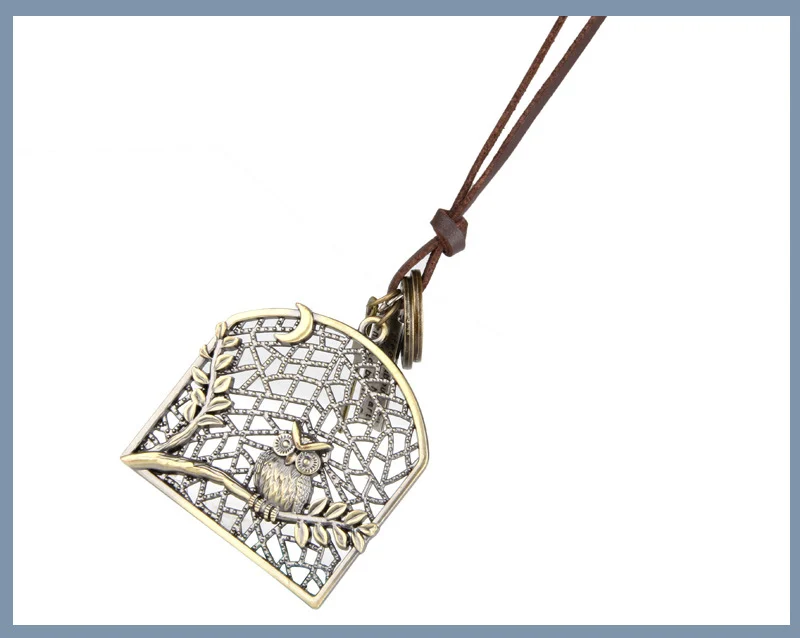 NIUYITID Vintage Bird Cage Owl Necklace & Pendant Men Long Leather Rope Neckless Creative Beautiful Jewelry Cadena Hombre (5)