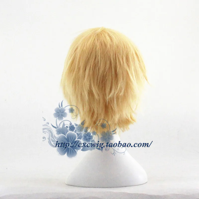 Fate/Stay Night Zero Gilgamesh Золотой короткий парик косплей волос Хэллоуин Косплей парики+ парик шляпа