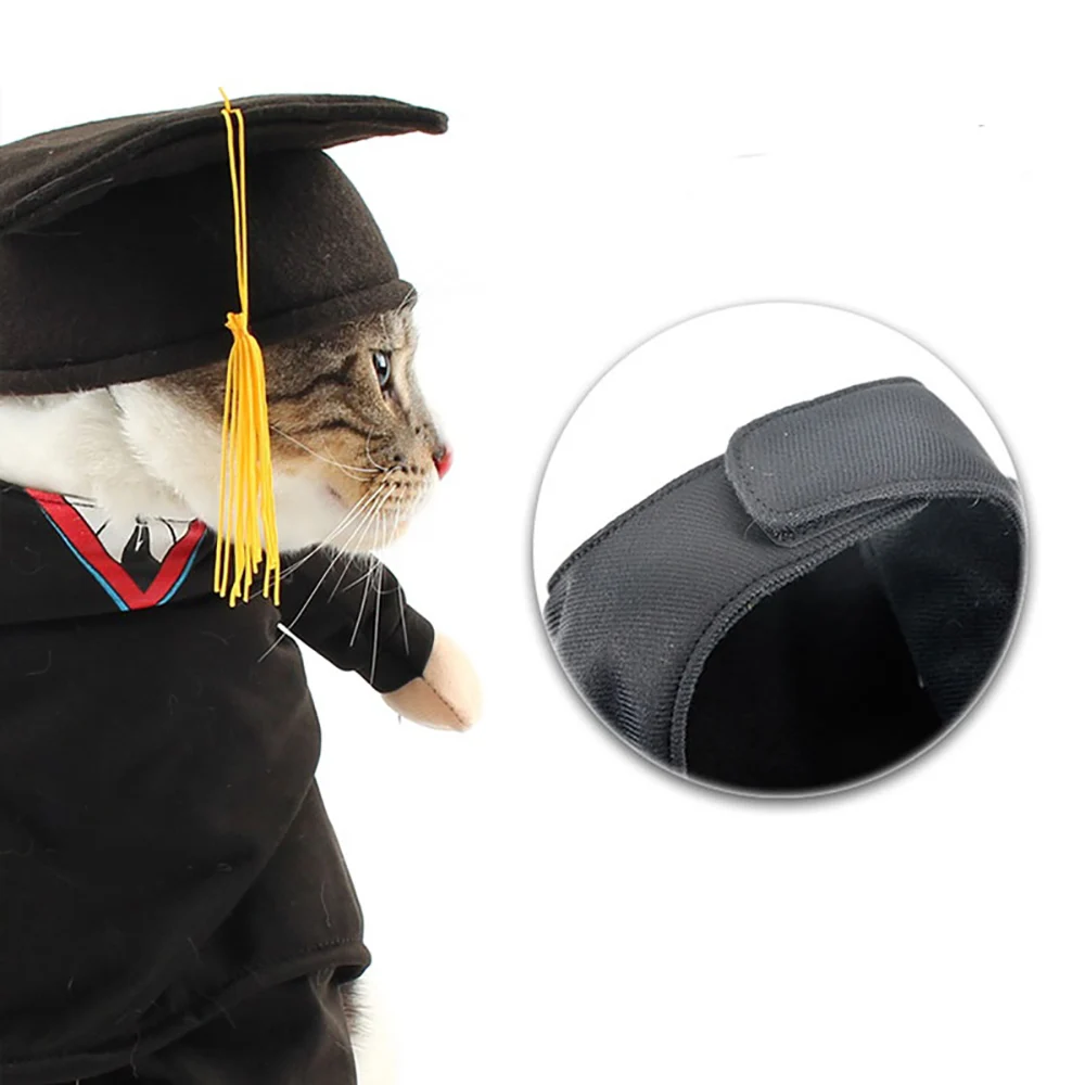 Cats Clothes (5)