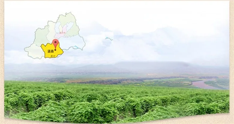 C-TS017 New Arrival 100g Top Grade 100% Purely Natural Organic Chinese Yam Rhizome Extract Powder Herbal Tea   C-TS017 New Arrival 100g Top Grade 100% Purely Natural Organic Chinese Yam Rhizome Extract Powder Herbal Tea