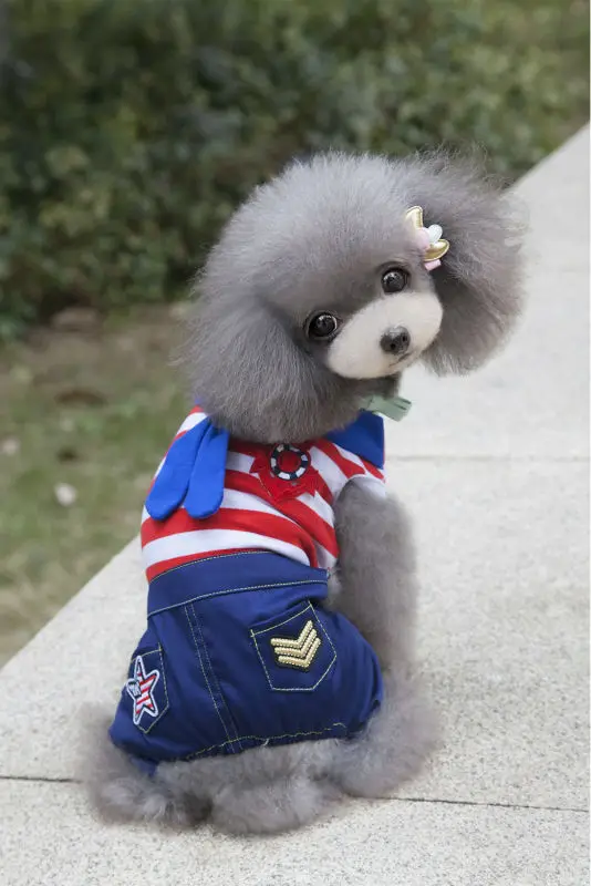 2016_Newest_Spring_Pet_four_legs_clothes_hot_sale_Pet_Sailor_Jumpsuit_Pants_Puppy_dog_Bib_Seaman_clothes_Lovely_ (10)