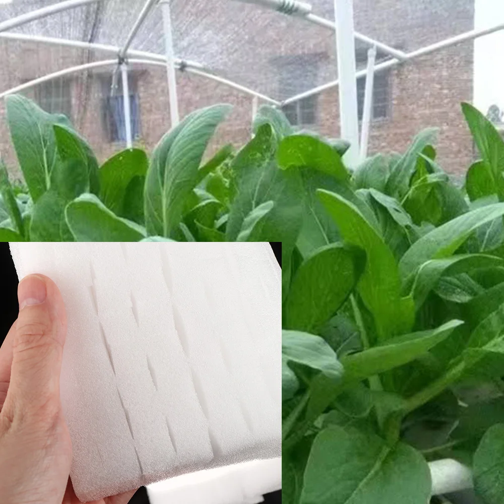 1 Pack (64/100Pcs) Nursery Sponge Hydroponic Vegetable Cultivation
