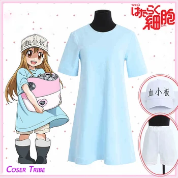 

[STOCK] 2018 Amine Working Cell Blood Platelet Working Uniform Double Wear Cosplay Custome For Halloween Carnival Free Shipping
