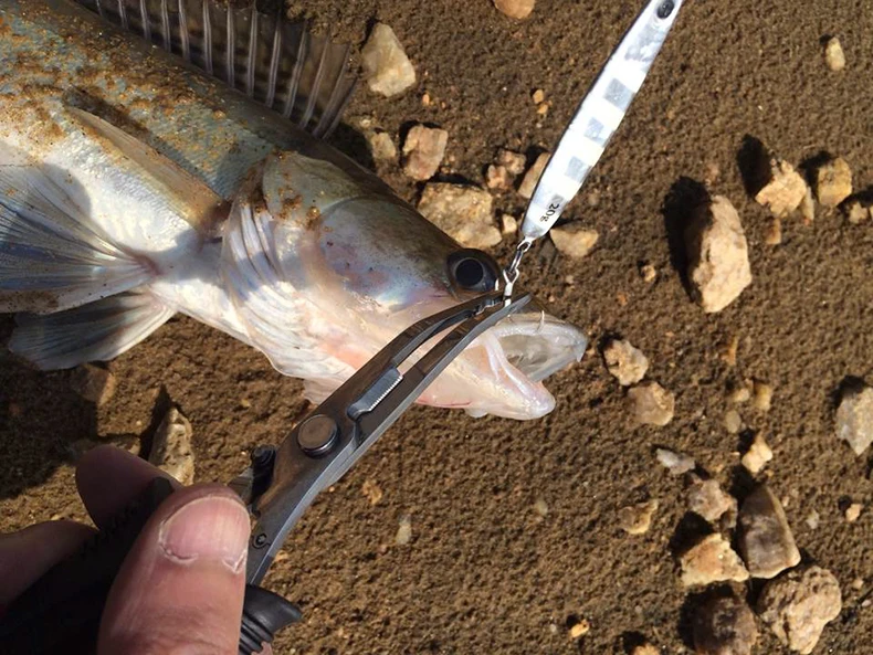catch3