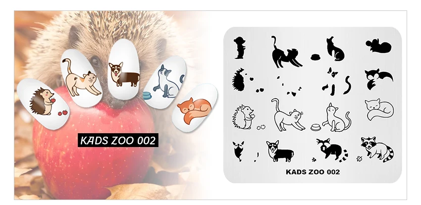 KADS-ZOO-002_06