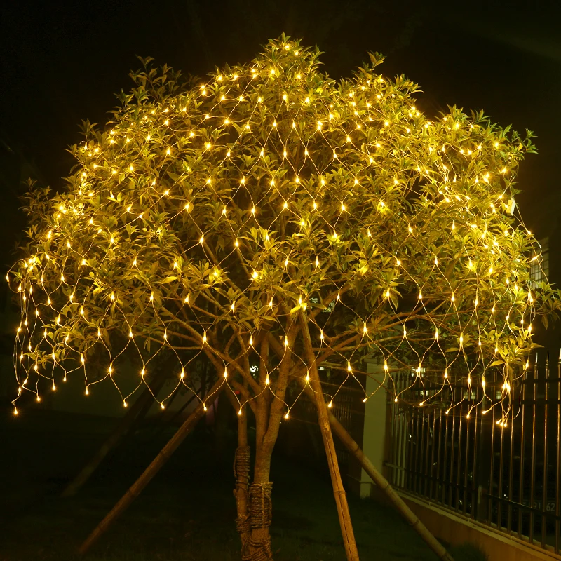 christmas lights
