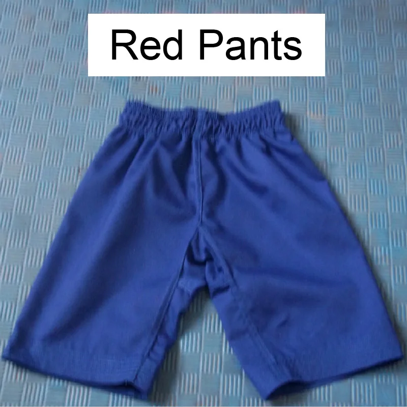 Takewondo  Pants blue