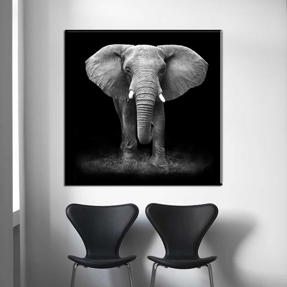 HTB1QTGtA9tYBeNjSspaq6yOOFXat