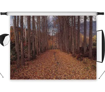 

LB Polyester & Vinyl Backgrounds For Photo Studio Photography Backdrops Autumn Covered Road With Fallen Leaves Deciduous forest