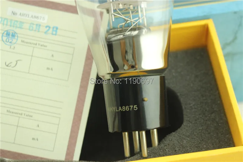  WE300B (1)