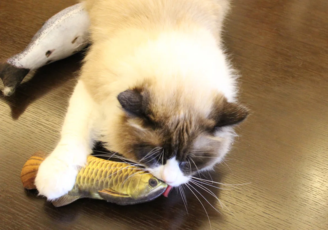 Carrywon Cat Toy Plush Creative 3D Fish Shape Cat Toy Simulation Vivid Fish Thicker Short Plush Stuffed Cats Scratch Chew Toys Carrywon Cat Toy Plush Creative 3D Fish Shape Cat Toy Simulation Vivid Fish Thicker Short Plush Stuffed Cats Scratch Chew Toys