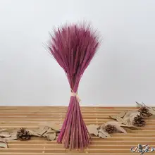 100 PCS Decoração de Casamento buquê de Flores Secas da planta natural de trigo Seco seco flor adereços flor artificial flores inmortales