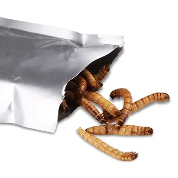 

140g Natural Dried Mealworm Food Meal For Feeding Pet Reptile Chickens Wild Garden Bird Aquarium Worm