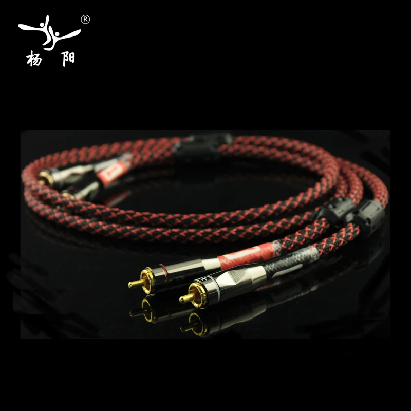 YYAUDIO Canare L 4E6S HIFI RCA кабель SPDIF цифровой аудио кабель/утолщенный настенный Budweiser