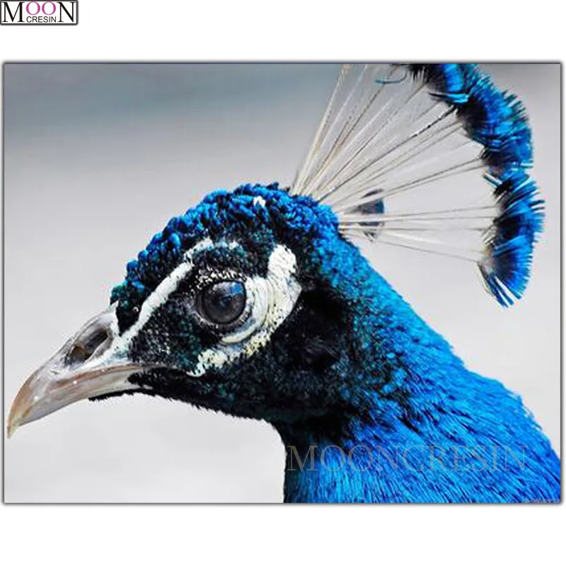 

DIY 5D Diamond Painting Cross Peacock Head Opening Diamond Embroidery Square Drill Diamond Mosaic Decoration Animals Rhinestones